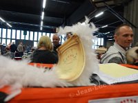 DSC08252 (NAMUR 26fev2017)