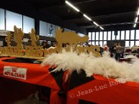 DSC08254 (NAMUR 26fev2017)