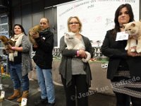 DSC08379 1 (NAMUR 26fev2017)