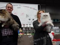 DSC08432 (NAMUR 26fev2017)