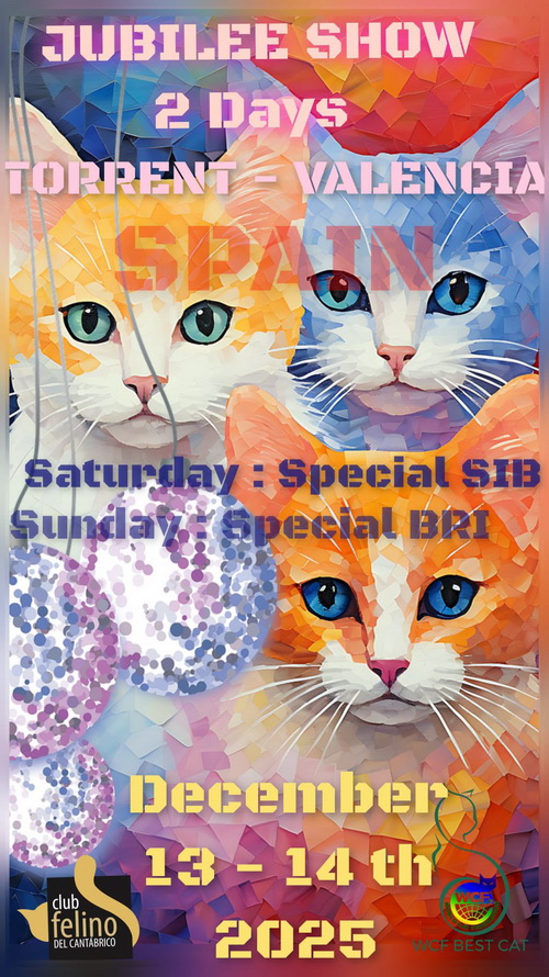 2025_12_espagne