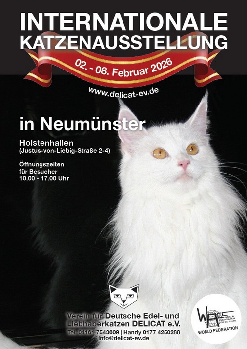 2026_02_delikat.jpg