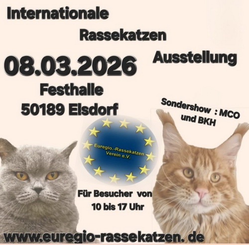 2026_03_euregio