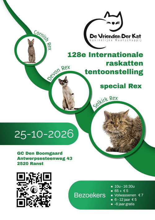 2026_10_dvdk.jpg