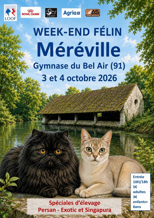 2026_10_eurocat.jpg
