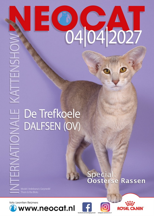 2027_04_neocat.jpg