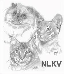 logo_nlkv