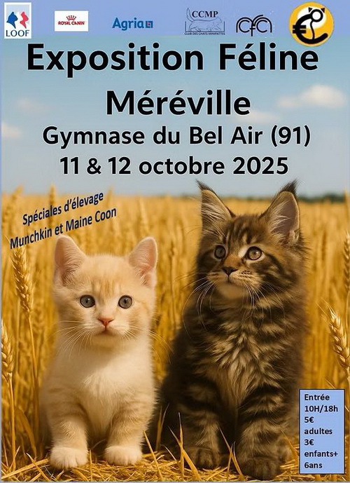 2025_10_mereville.jpg