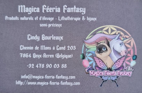 MagicaFeeriaFantasy_500