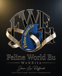 logo_presentation_213.png