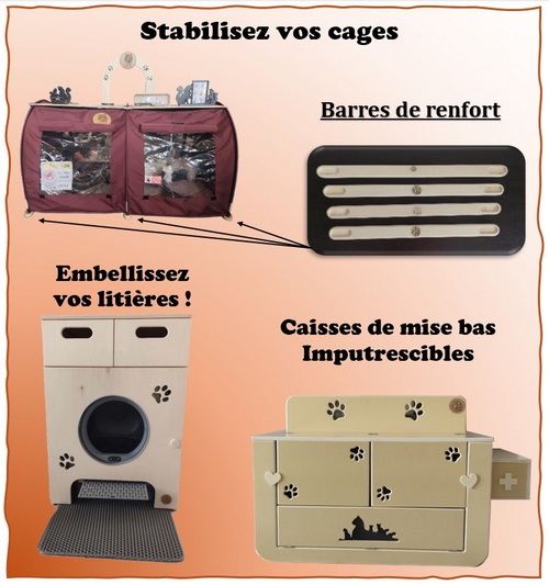 ROUSSEAUX_pub_8.jpg